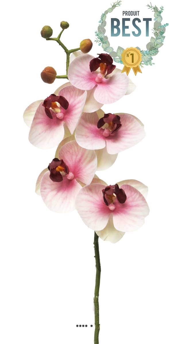artificielles Tige d’orchidée phalaenopsis artificielle 5 fleurons toucher réel H 58 cm