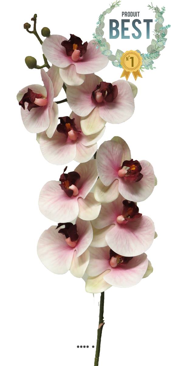 artificielles Tige d’orchidée phalaenopsis artificielle 9 fleurons toucher réel H 108 cm