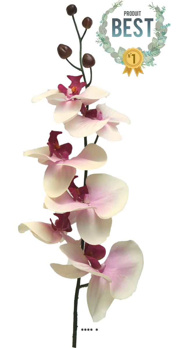 artificielles Tige d’orchidée phalaenopsis artificielle toucher réel H 78 cm