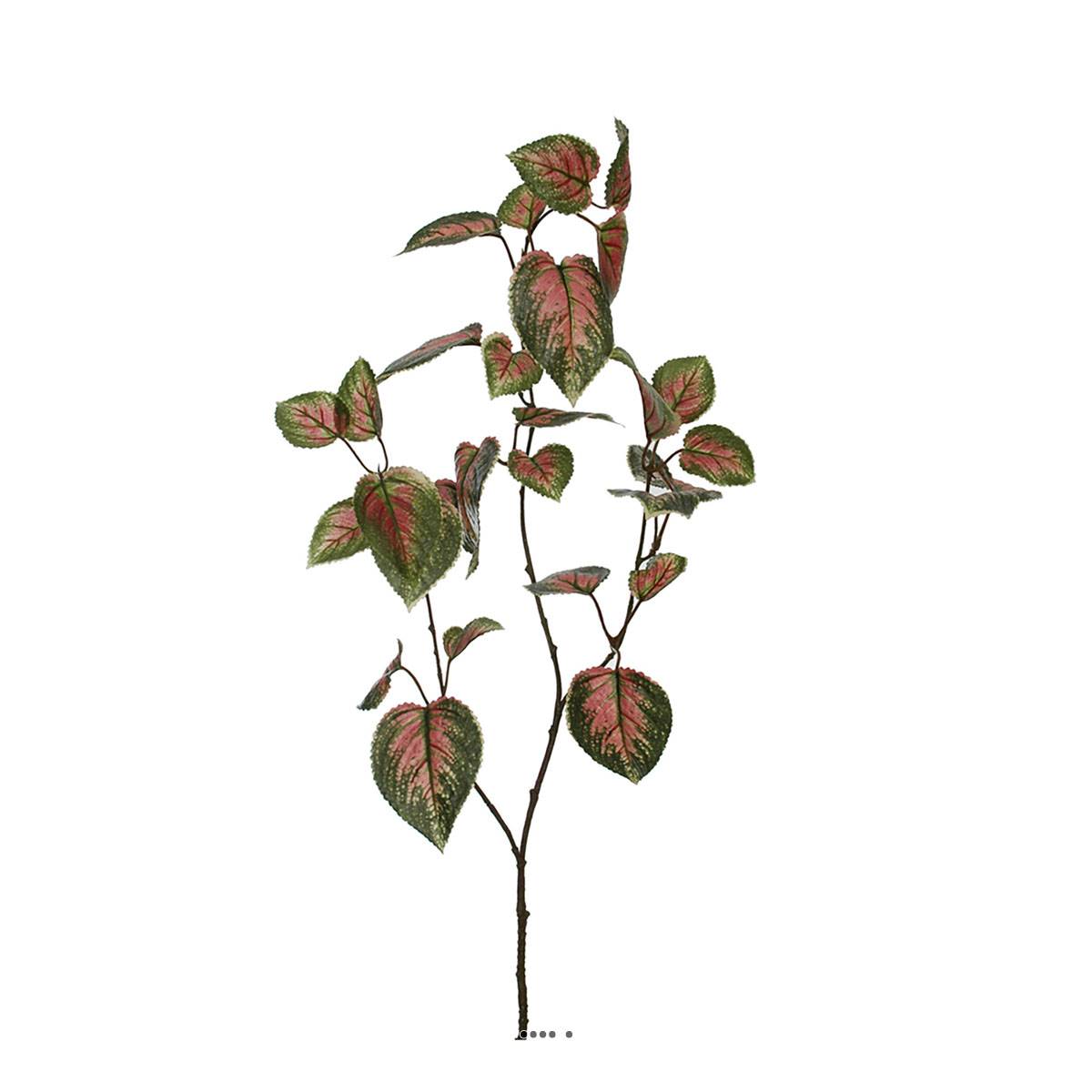 artificielles Tige de coleus artificielle H 94 cm L26 cm Vert-rose