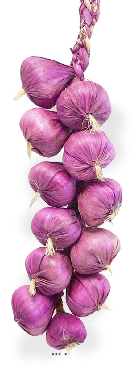 artificielles Tresse d'ail artificielle x10 tetes d ail violet L 50 cm du site Artificielles.com