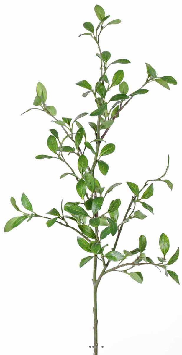 artificielles Troene Vert artificiel en branche H 105 cm avec 113 feuilles tissu du site Artificielles.com