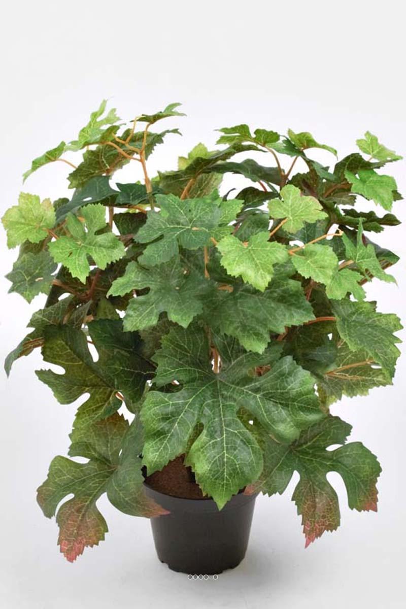 artificielles Vigne artificielle en pot H 35 cm très dense du site Artificielles.com