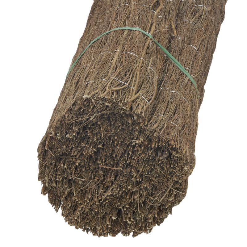 aubry gaspard Canisse en brande de bruyère - JAC1860