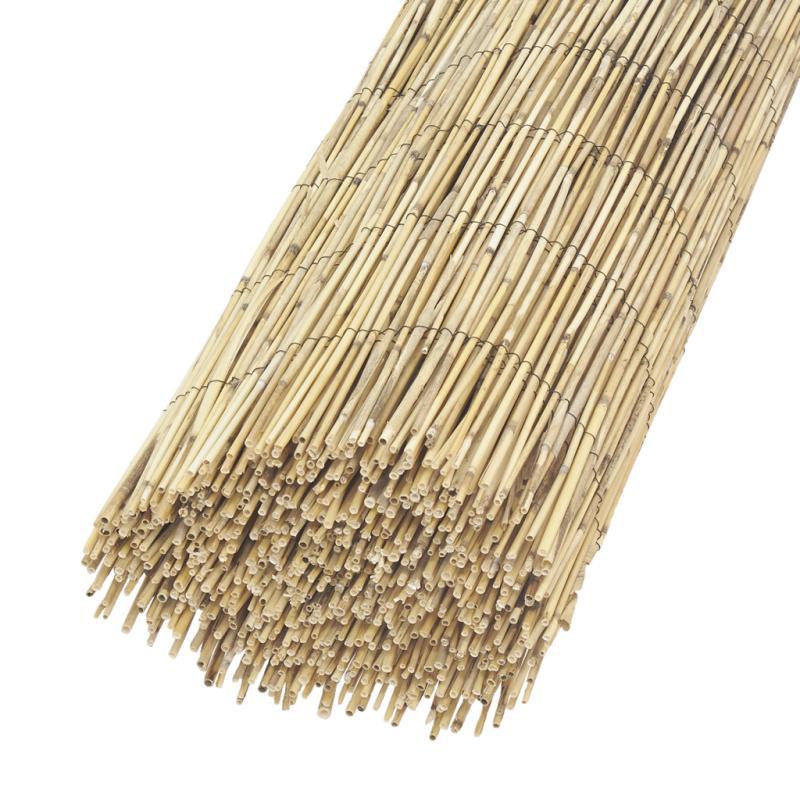 aubry gaspard Canisse en roseau - JAC1831