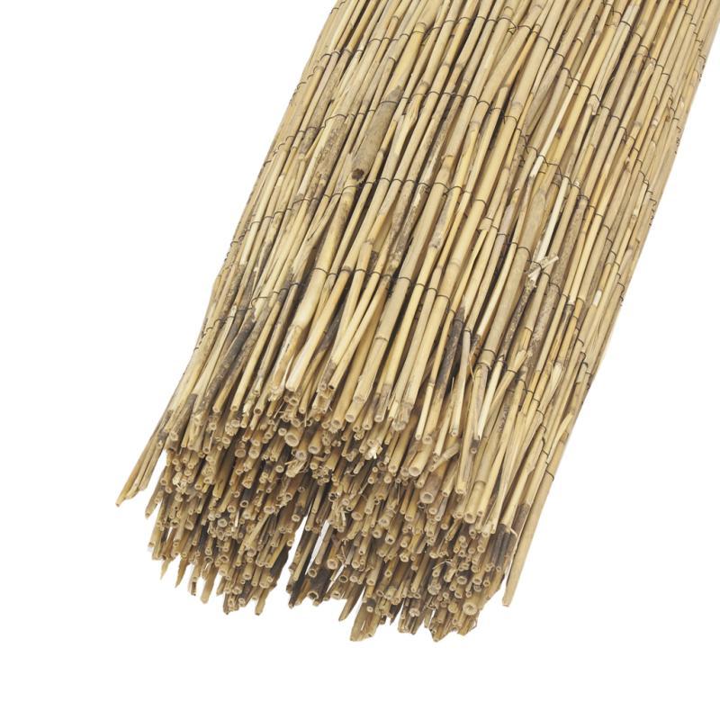 aubry gaspard Canisse en roseau - JAC1832