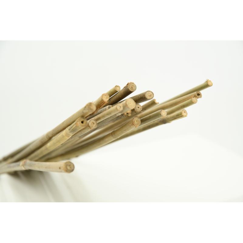 Aubry Gaspard Tuteurs En Bambou - DGE1161