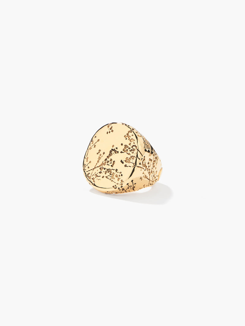 aurélie bidermann Bague Hermione FW23BA01 MG-50