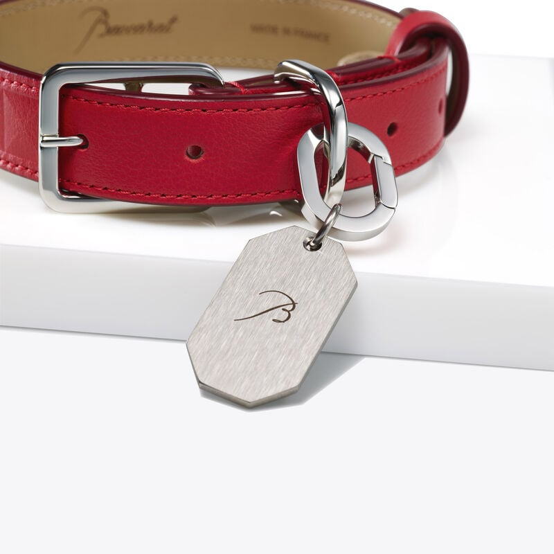 Baccarat Louxor Collier Pour Animaux L
