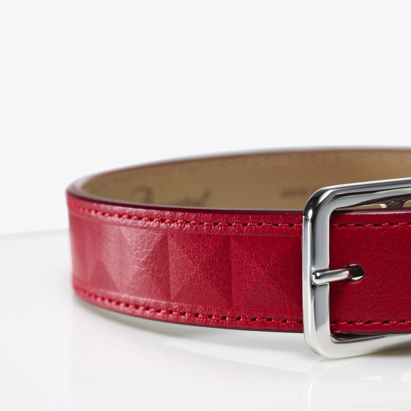 Baccarat Louxor Collier Pour Animaux L