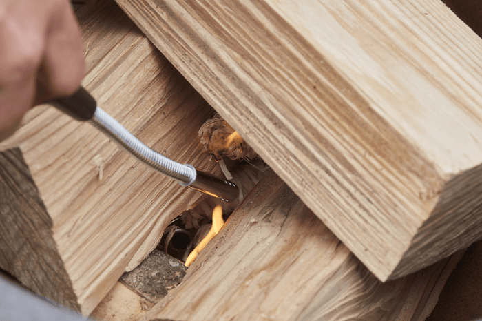 Barbecook Allume-feu Rechargeable