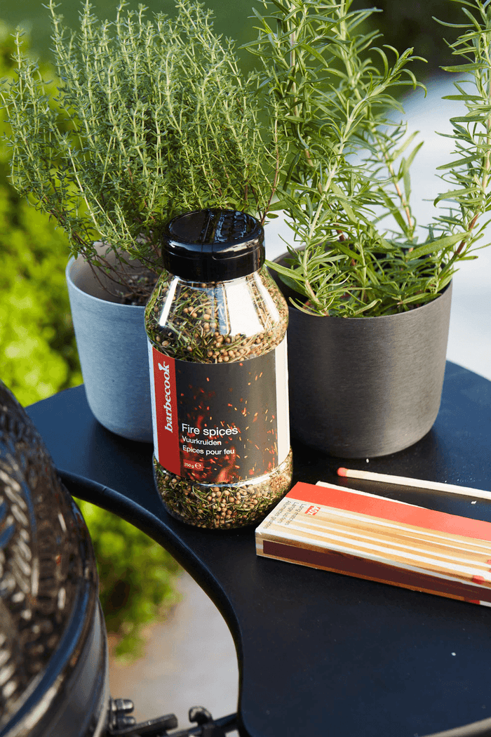 Barbecook Epices Pour Feu 250g