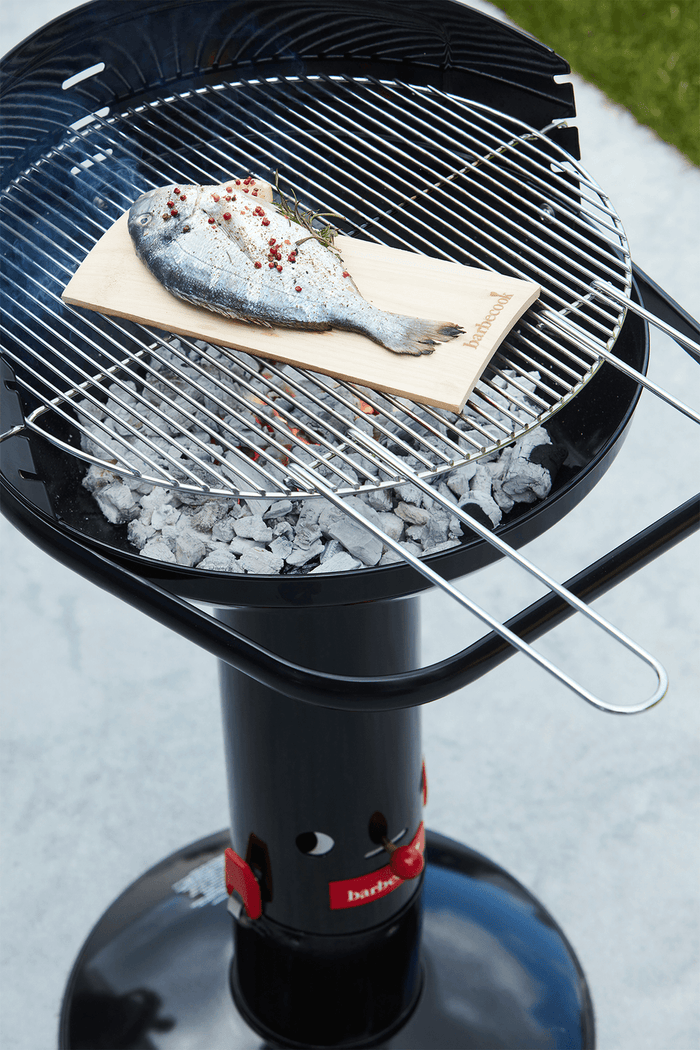 Barbecook Loewy 50