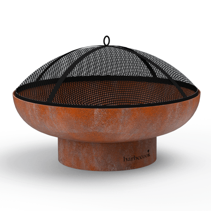 barbecook Pare-étincelles en métal noir 75 cm