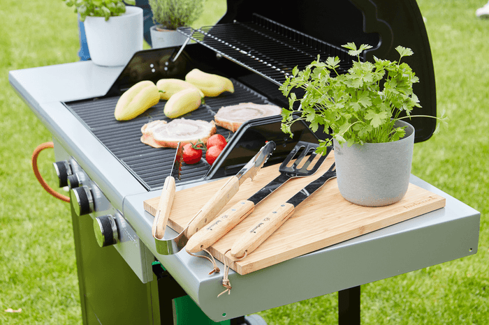 Barbecook Spring 3112