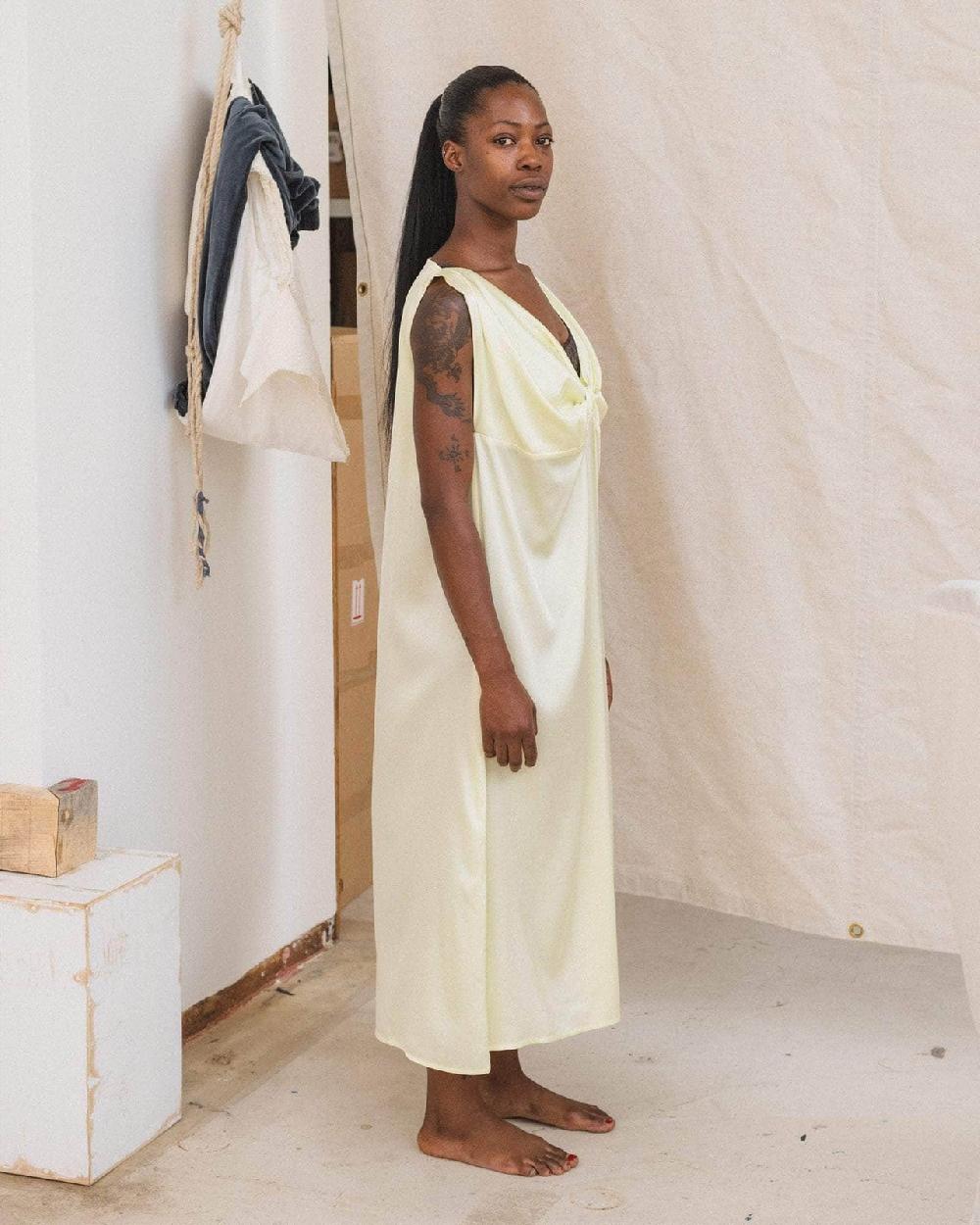 Baserange Sepia Dress - Satin De Soie