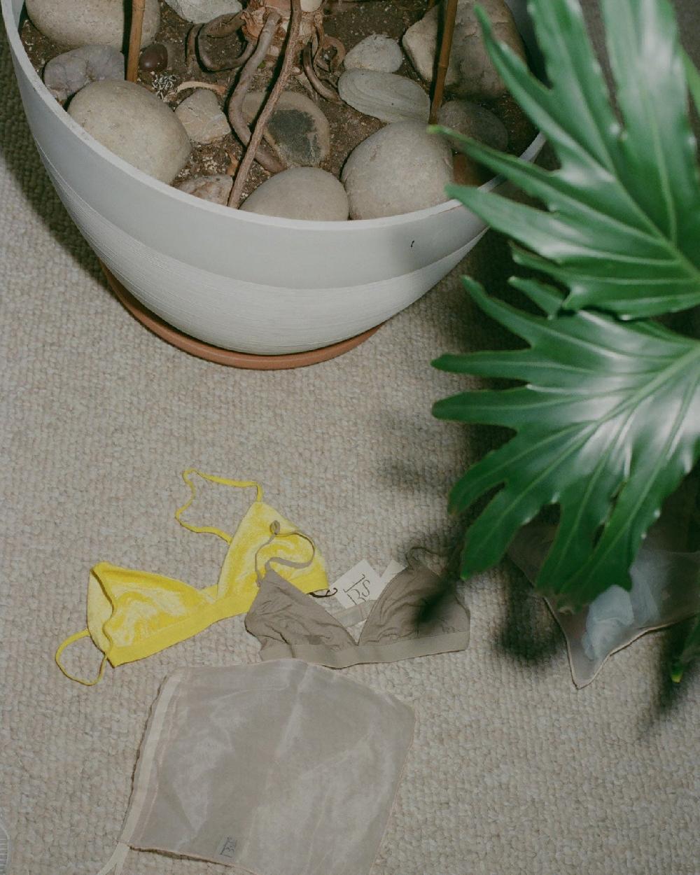 Baserange Pack Surprise - 2 Soutiens-gorge mississippi - Mix