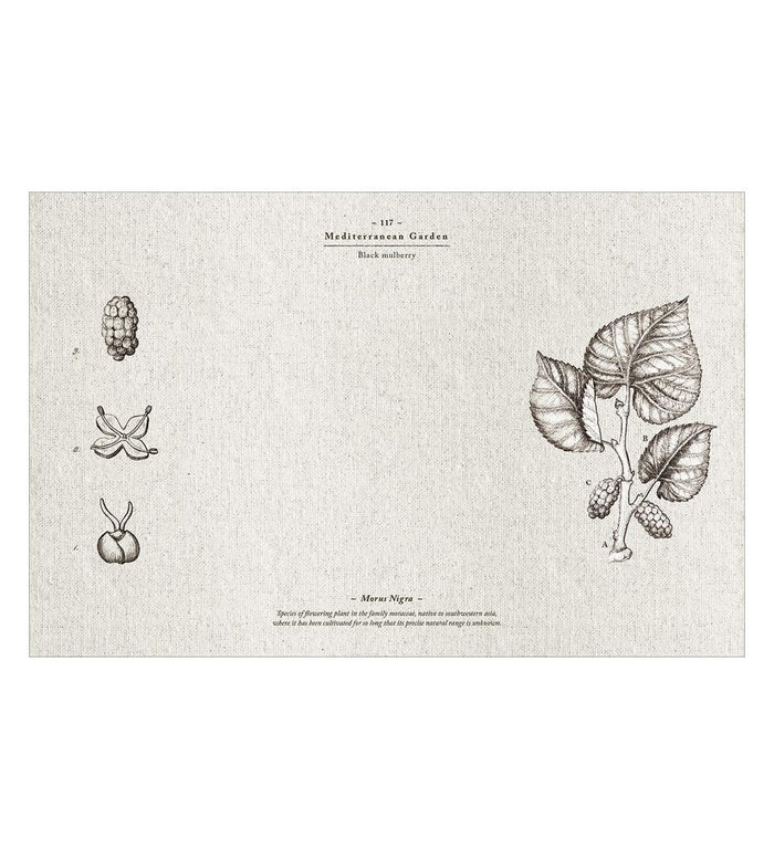 Beija Meditererranean Garden Vinyl Table Placemat