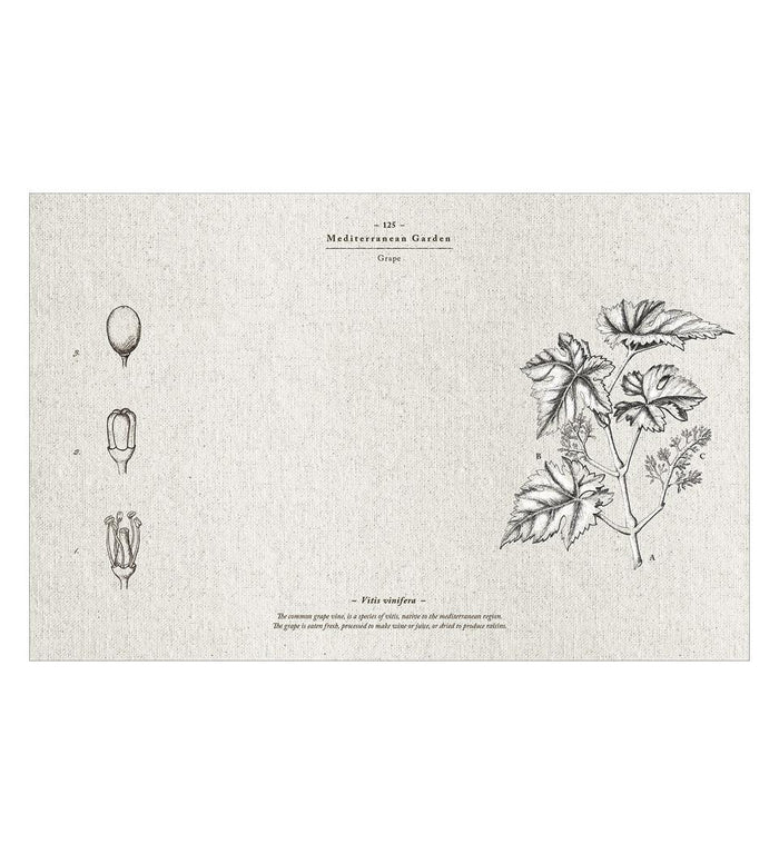 Beija Meditererranean Garden Vinyl Table Placemat