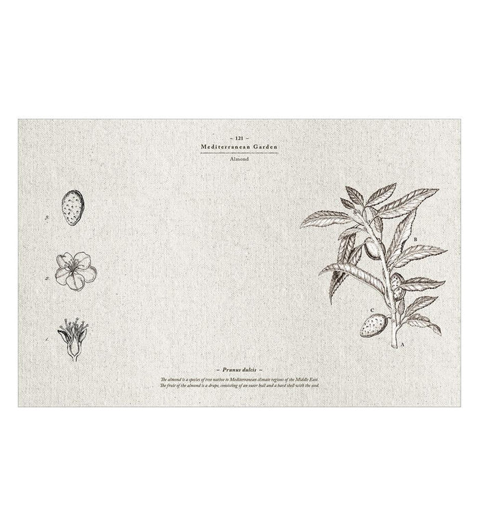 Beija Meditererranean Garden Vinyl Table Placemat