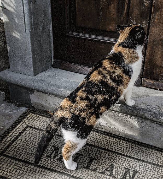 Beija Mosaic Vinyl Rug