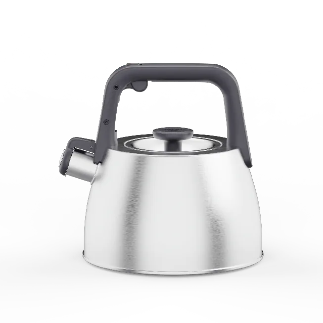 Berghoff Bouilloire à Sifflet Anthracite 2 20L