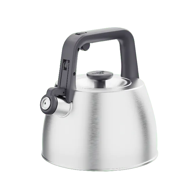 berghoff Bouilloire à sifflet Anthracite 2 20L