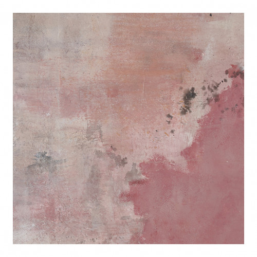 Blanc D'ivoire Tableau Rosae