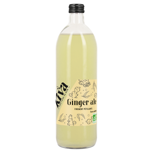 boho cosmetics Ginger ale bio - Kiva