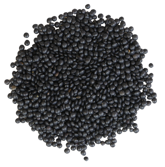 boho cosmetics Lentilles Beluga - bio