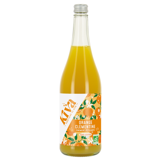 boho cosmetics Petillant Orange Clémentine - Kiva