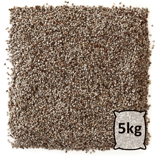 boho cosmetics Graines de Chia bio 5 kg - Jardin Bio Étic