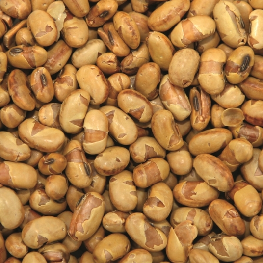 boho cosmetics Graines de soja grillées salées bio 3 kg - Jardin Bio Étic