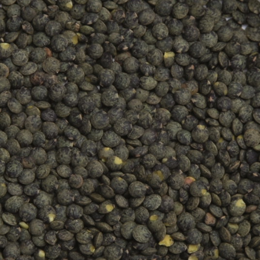 boho cosmetics Lentilles brunes bio 5 kg - Vrac Jardin Bio Étic