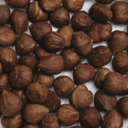 boho cosmetics Noisettes entières bio 5 kg - Jardin Bio Étic