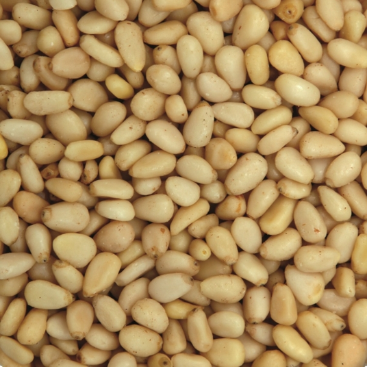 boho cosmetics Pignons de pin bio 3 kg - Jardin Bio Étic