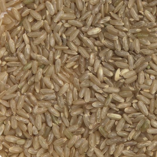 boho cosmetics Riz long complet bio de 5 kg - Jardin Bio Étic