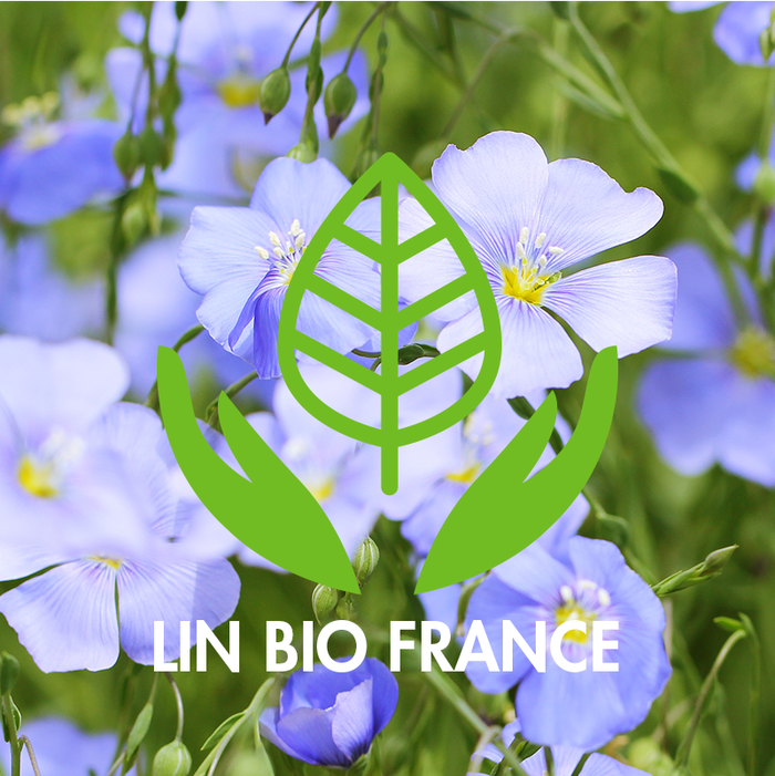 Boho Cosmetics Shampooing Boucles Sublimes Lin Bio & Vitamine F - LEA NATURE SO BiO étic