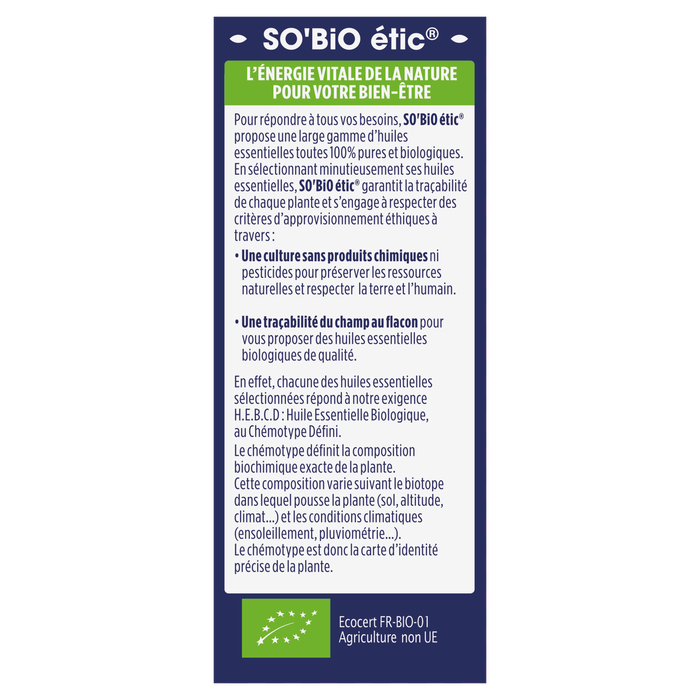 Boho Cosmetics Vente Huiles Essentielles Citronnelle De Java - Huiles Essentielles Bio