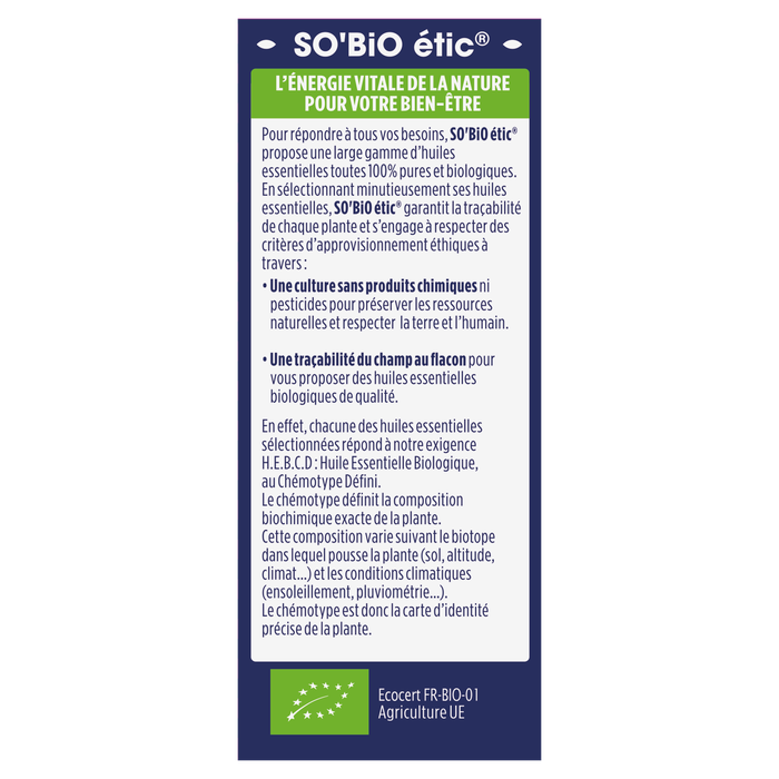 Boho Cosmetics Vente Huiles Essentielles Eucalyptus Globulus Bio - Huiles Essentielles Bio