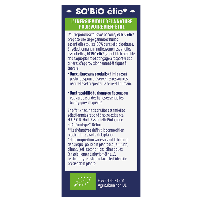 Boho Cosmetics Vente Huiles Essentielles Eucalyptus Radie Bio - Huiles Essentielles Bio