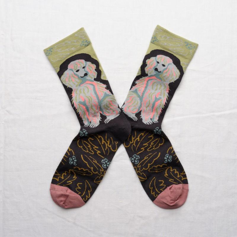 bonne maison Chaussette Chien Mousse