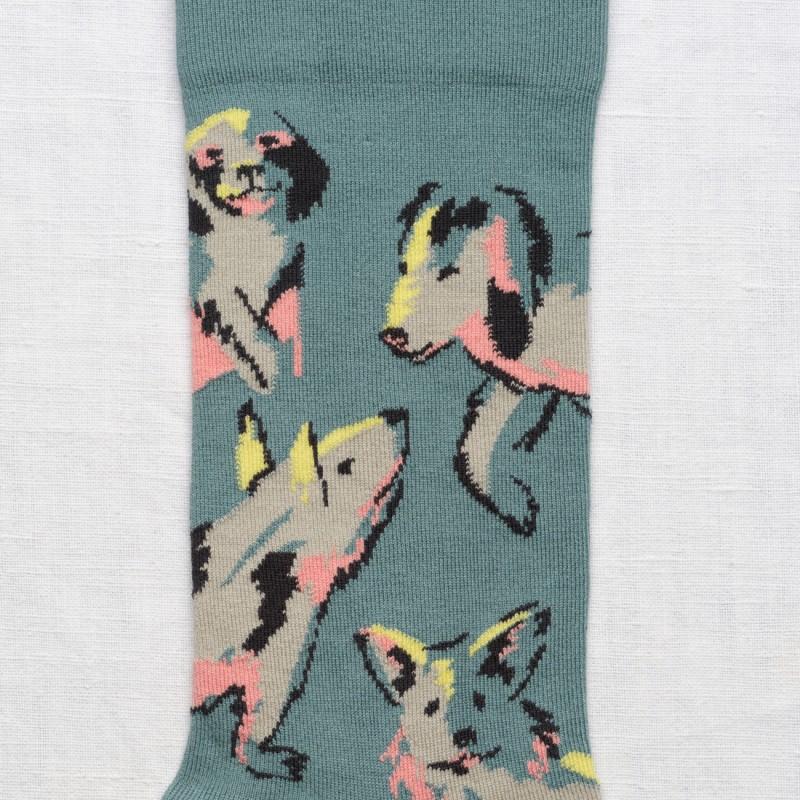 Bonne Maison Chaussette Chiens Arctique
