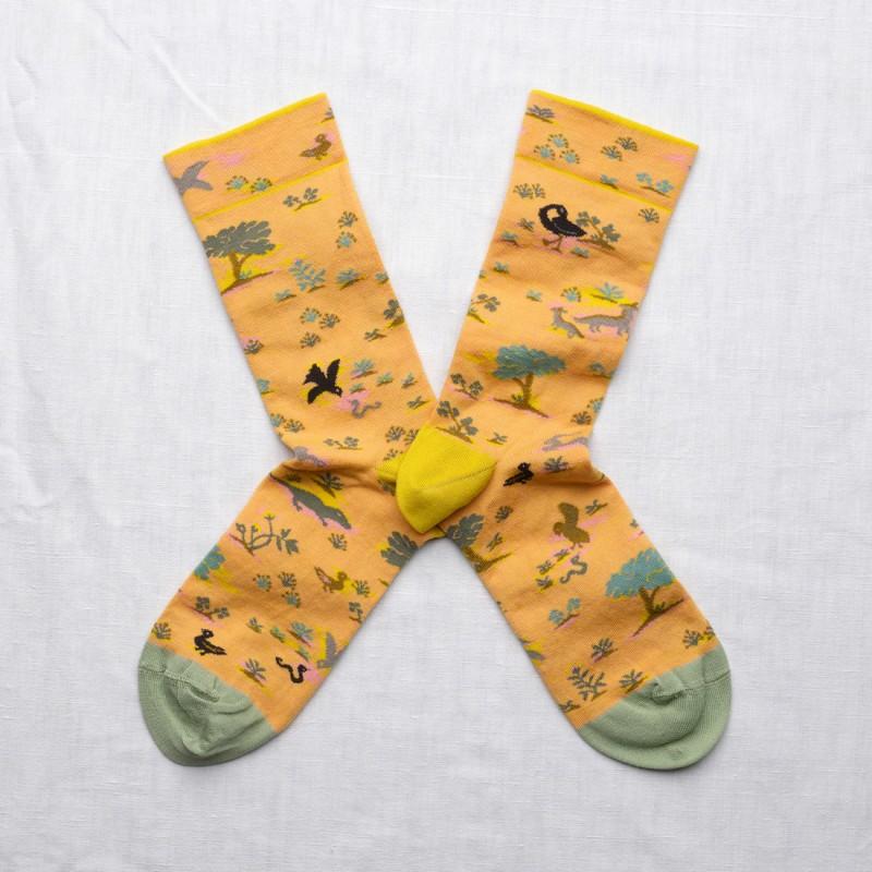 bonne maison Chaussettes Semis