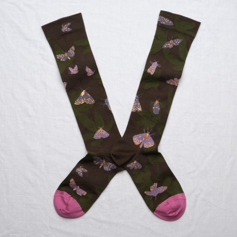 bonne maison Mi-Bas Papillon Terre d'Ombre