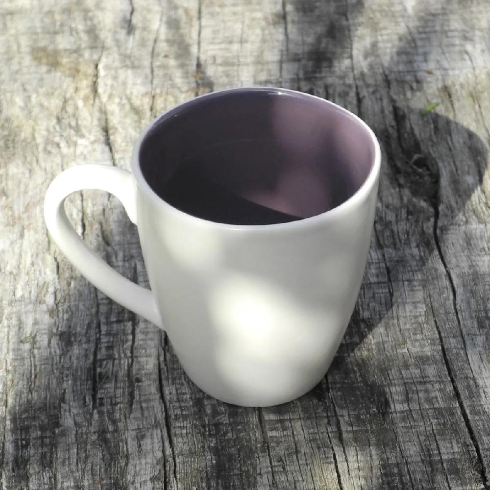 Bruno Evrard Mug En Faïence Colorée (violet) - Vaisselle Tendance