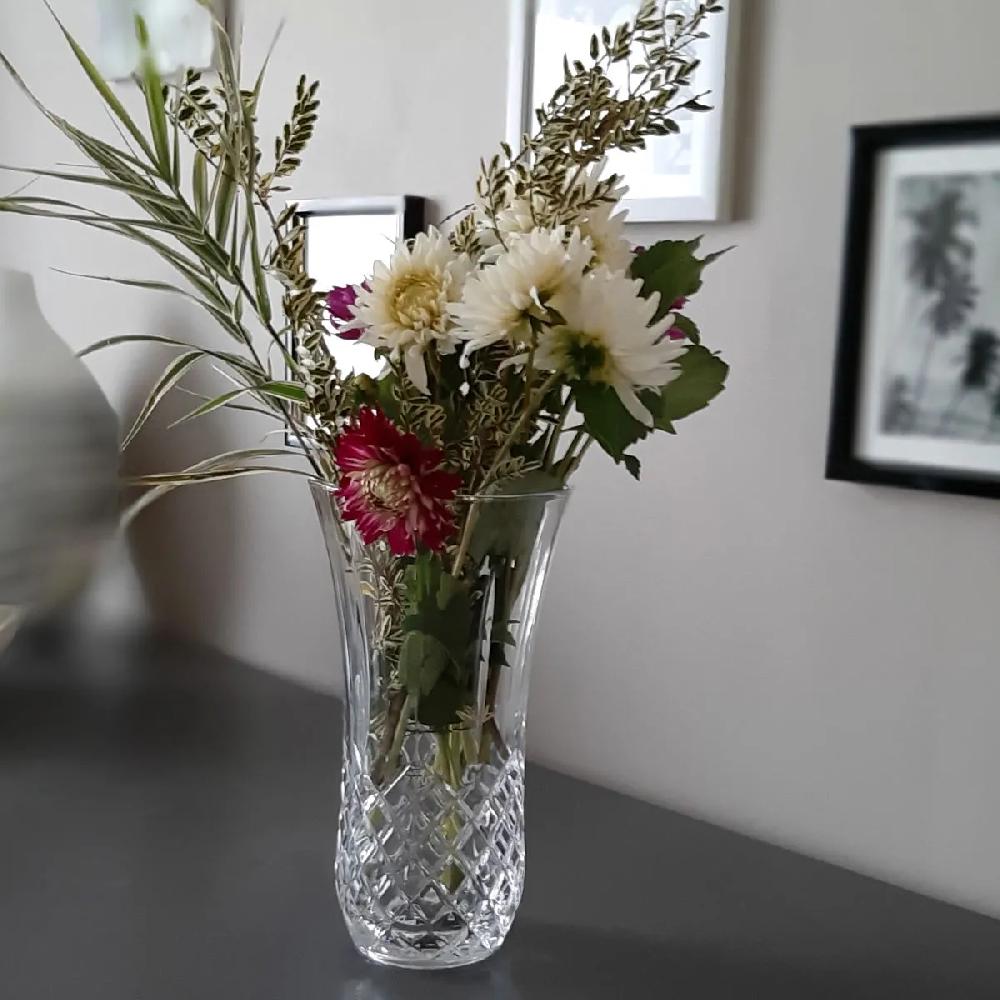 Bruno Evrard Vase TRAVIATA 25cm - De La Modernité Pour Vos Fleurs