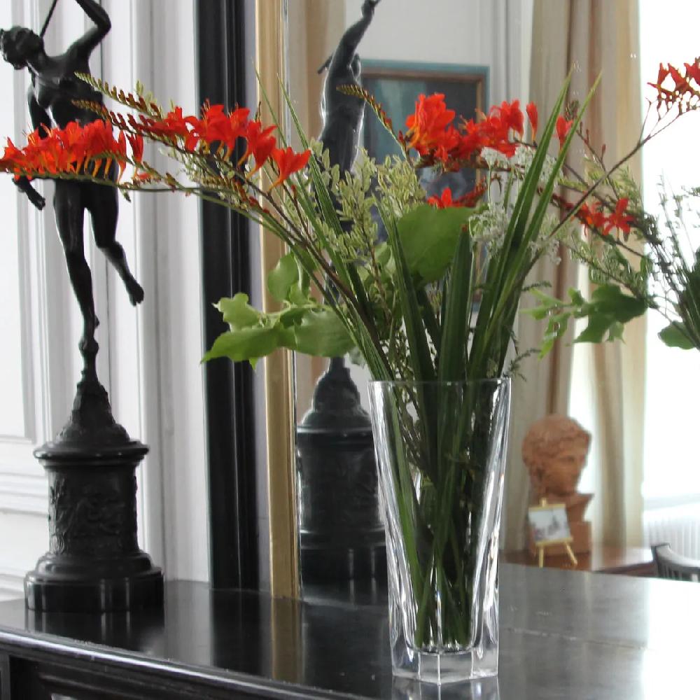Bruno Evrard Vase Uni 30cm SQUARE - Design Original Et Moderne