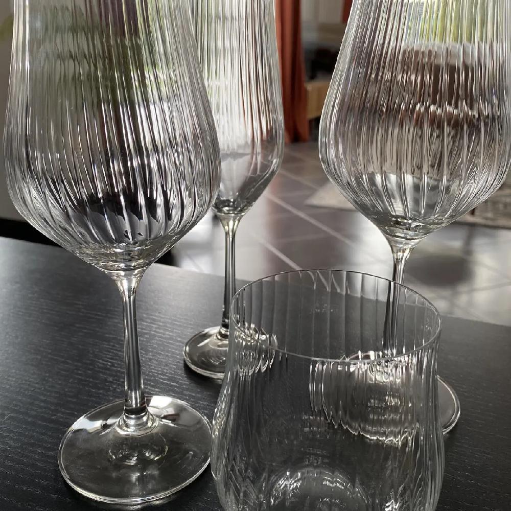 Bruno Evrard Verre à Vin CONTURA OPTIQUE En Verre Uni De 45cl