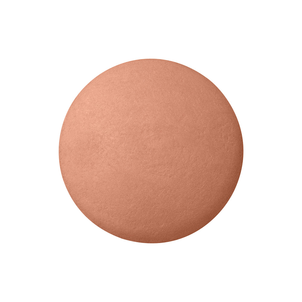 Bourjois Boite Ronde Blush Sienne